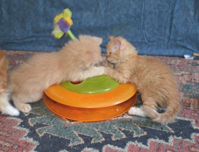 Selwyn and Sukie at play