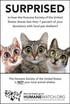 hsus_poster1.jpg