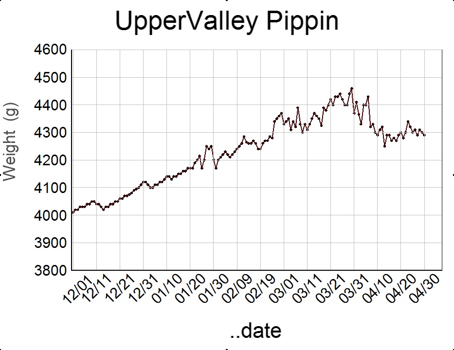 As of 30 April 2021