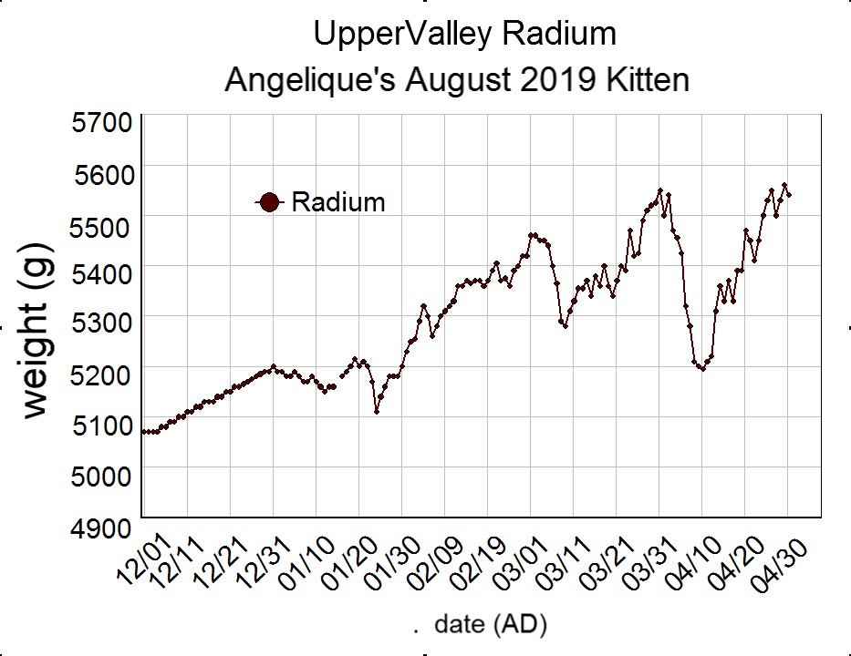 uppervalley_radium.jpg